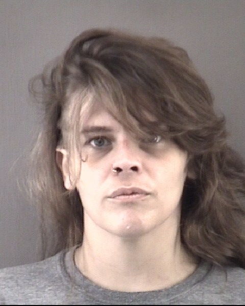 Mugshot of KRISTALYNN SHAE COLLINS