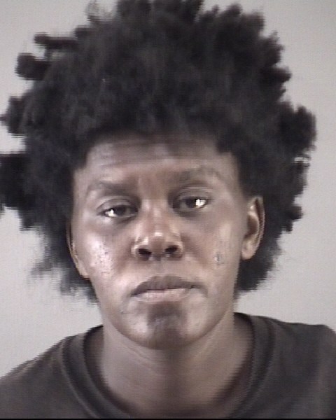 Mugshot of TAMAYIA CELESTE WILSON