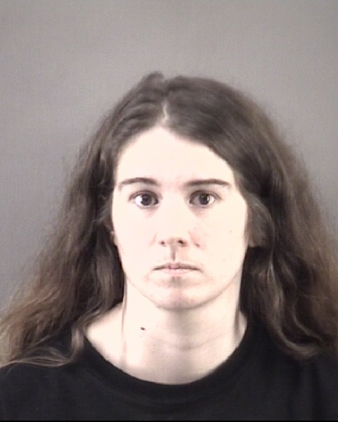 Mugshot of ERIN RAE MERRILL