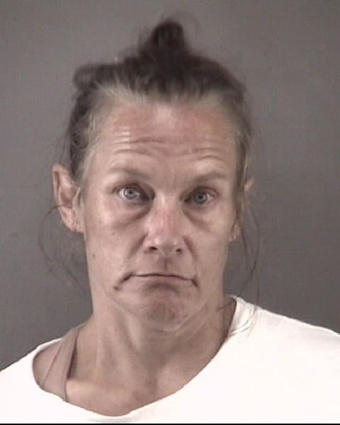 Mugshot of AIMEE BINGHAM SINK