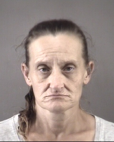 Mugshot of AMANDA MICHELLE PRICE