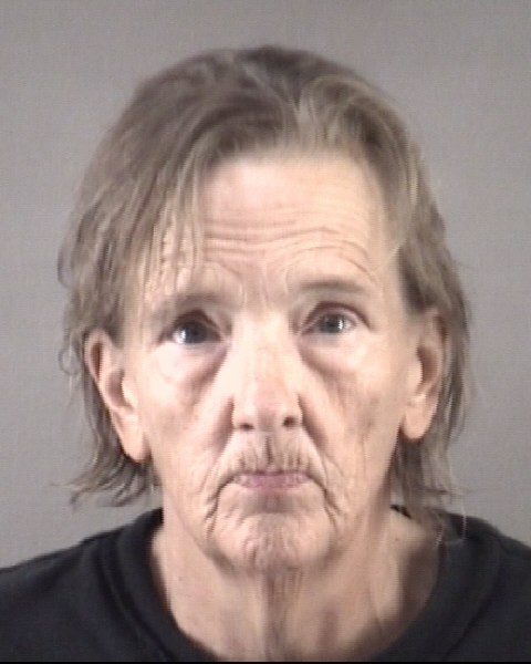 Mugshot of LEIGH ANN FRANC