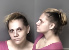 Mugshot of Nikki Nicole Parker