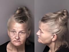 Mugshot of Aundria Niccole Wilkey