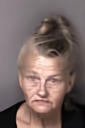 Mugshot of Aundria Niccole Wilkey