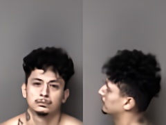 Mugshot of Carlos Alberto Ayala-Garcia
