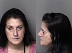 Mugshot of Ryan Vivian St Louis