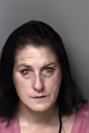 Mugshot of Ryan Vivian St Louis