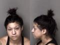 Mugshot of Tess Fonseca