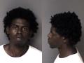 Mugshot of Raesean Day Norris