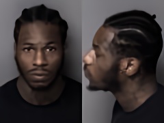 Mugshot of Steven Orlando Wilson