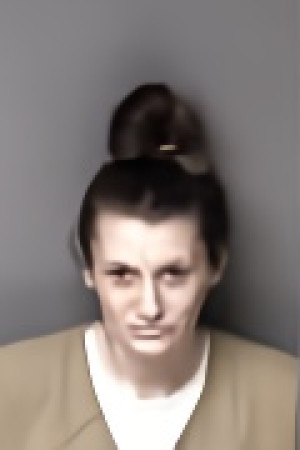 Mugshot of Brandy Leigh Arant