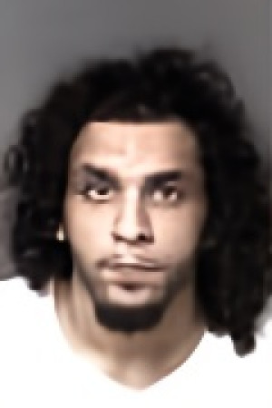 Mugshot of Shady Abedelhady Hegazy