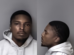 Mugshot of Cameron Mitchell Demo Davis