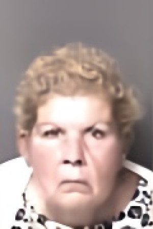 Mugshot of Lori Ann Tindall