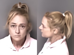 Mugshot of Lisa Joyce Land