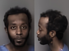 Mugshot of Ronald Anthony Junior Woffard