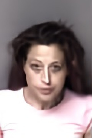 Mugshot of Amanda Long Tomlin