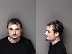 Mugshot of Joshua Ferris Lynch