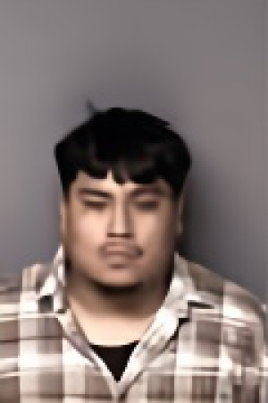 Mugshot of Elisco Leon Castillo