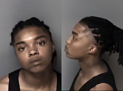 Mugshot of Evelyn Jean Lockhart