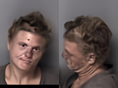 Mugshot of Krista Jean Hawkins