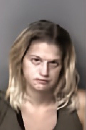 Mugshot of Skyla Paris Isgett