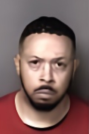 Mugshot of Ronald Bernard Johnson