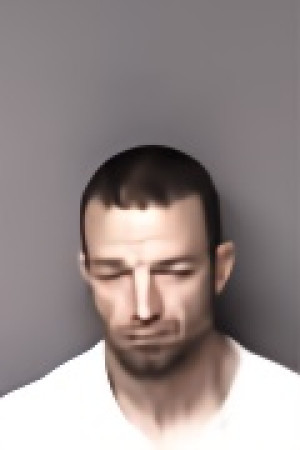 Mugshot of Brian Jayce McGinnis