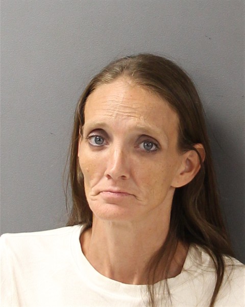 Mugshot of MICHELLE DAWN PRITCHARD