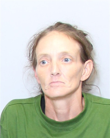 Mugshot of MICHELLE DAWN PRITCHARD