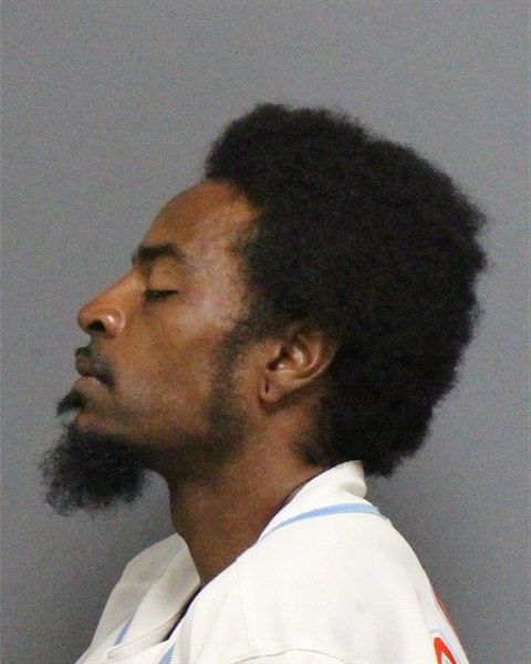 Mugshot of DARRELL ANTHONY BROWN