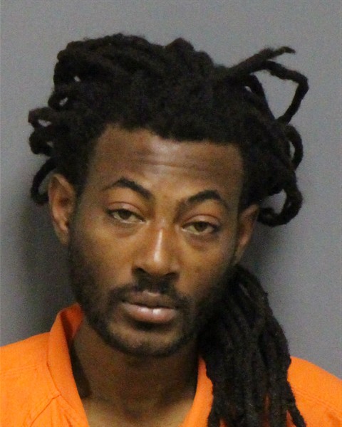 Mugshot of RICCI LEVAUGH BYNUM