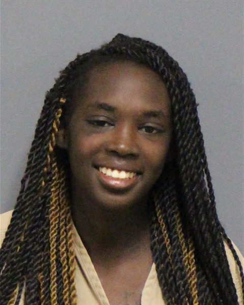Mugshot of ABUK BITER THIYAB DANG