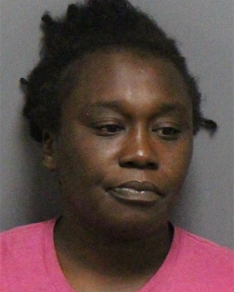 Mugshot of ASHLEY YONNETTE DRAKE