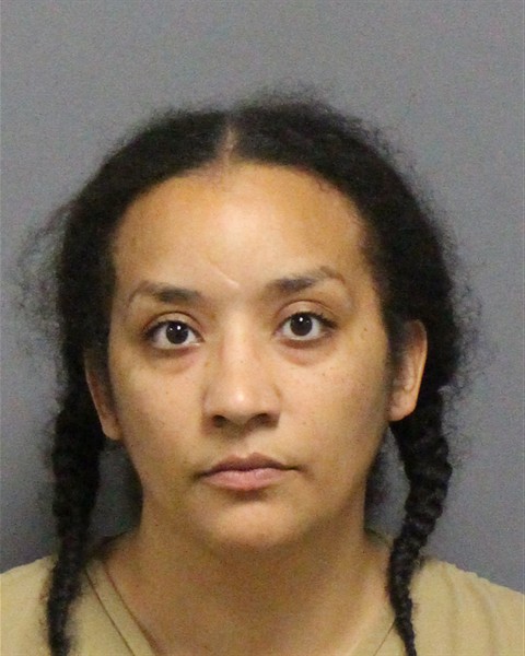 Mugshot of VANESSA MILLETTE