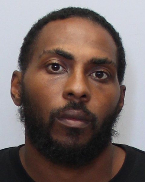 Mugshot of RAYSHONE TYREE MILLER