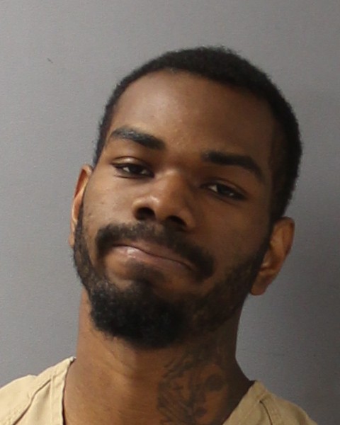 Mugshot of JONATHAN LEON JR HOLDEN
