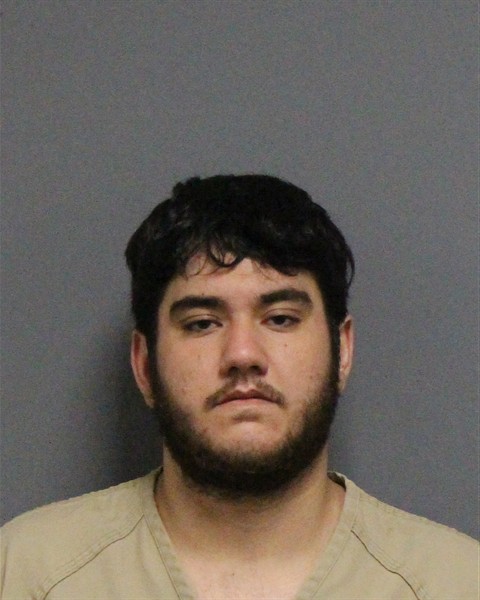 Mugshot of BRIAN LUKE JOSEPH RODRIGUES