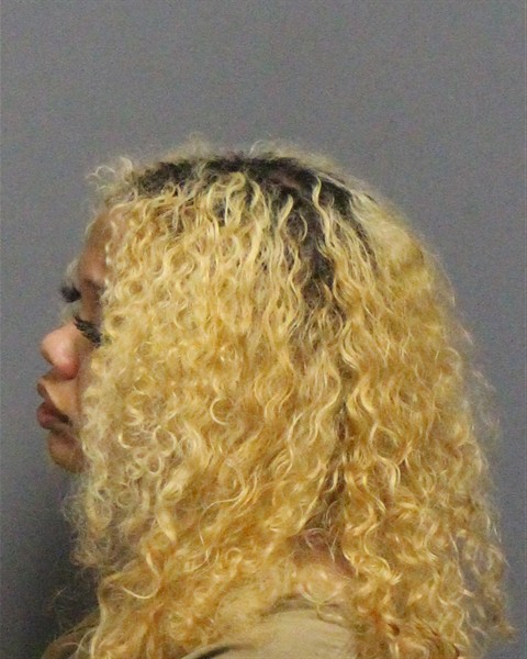 Mugshot of CHEYENNE STORM JOHNSON