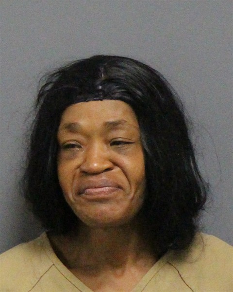 Mugshot of REGINA LOUISE AUSTIN