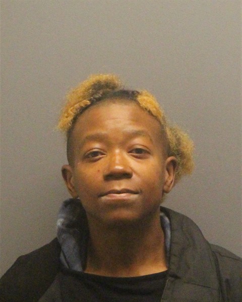 Mugshot of ERICA LYNETTE WILLIAMS