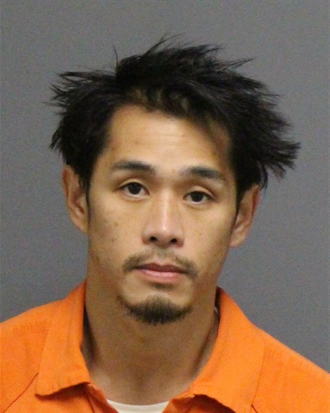 Mugshot of RICKY LAM