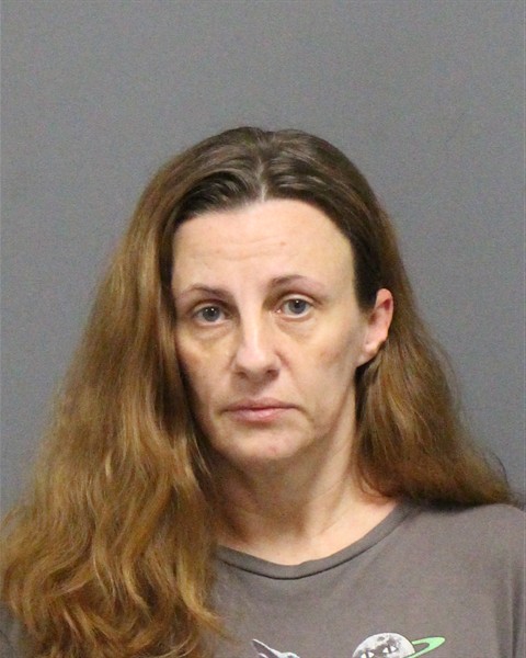 Mugshot of TONYA MICHELLE HENSLEY