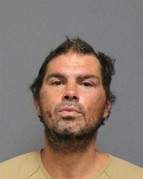 Mugshot of DONNIE RAY WILSON