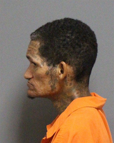Mugshot of MICHAEL LAMAR SANFORD