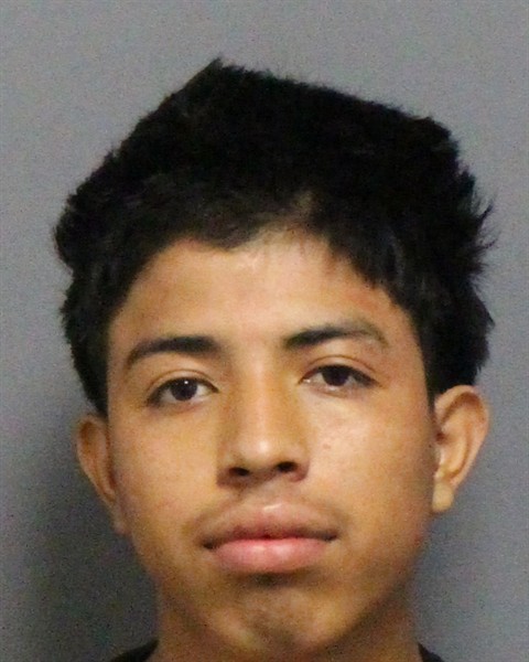 Mugshot of ORLIN DONALDO GOMES-MANUELES