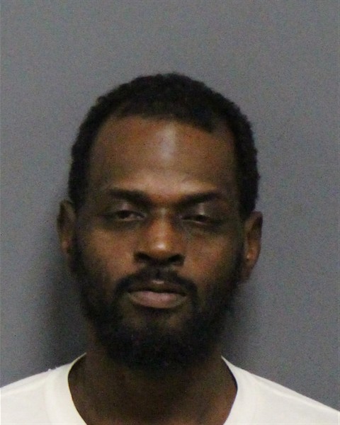 Mugshot of FABIO GOMEZ MICKEL