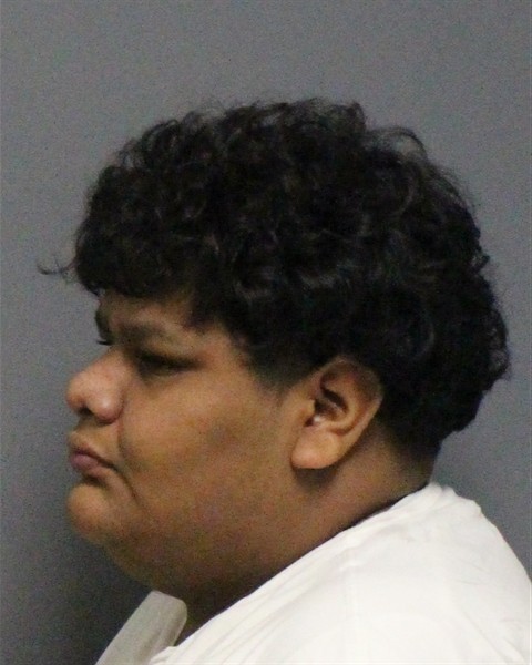 Mugshot of ERIK DOMINGUEZ-ANGEL