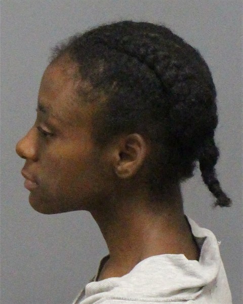Mugshot of JOURNEE DANAE CARL
